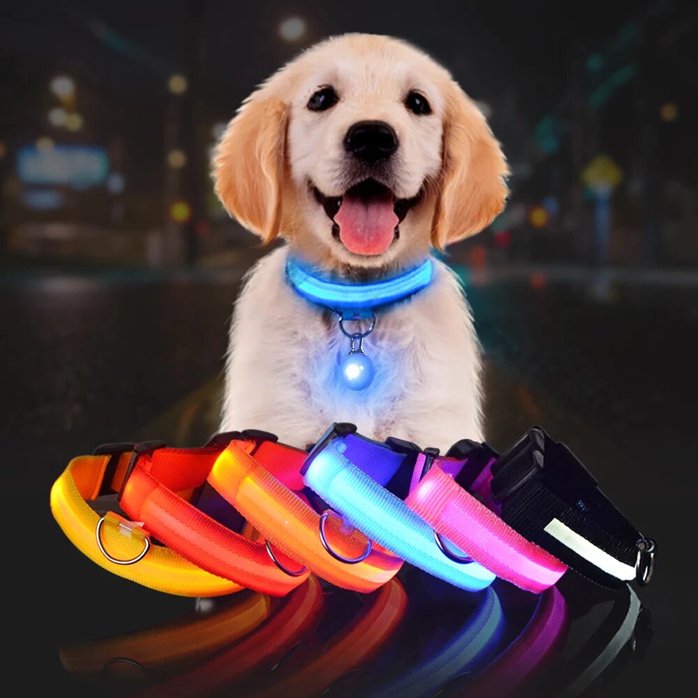 LED Glowing Night Safety Collar