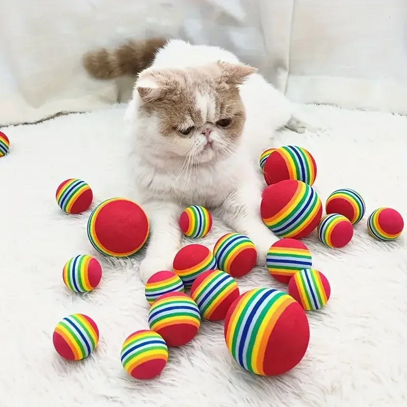 Cat Soft Foam Interactive Indoor Toy