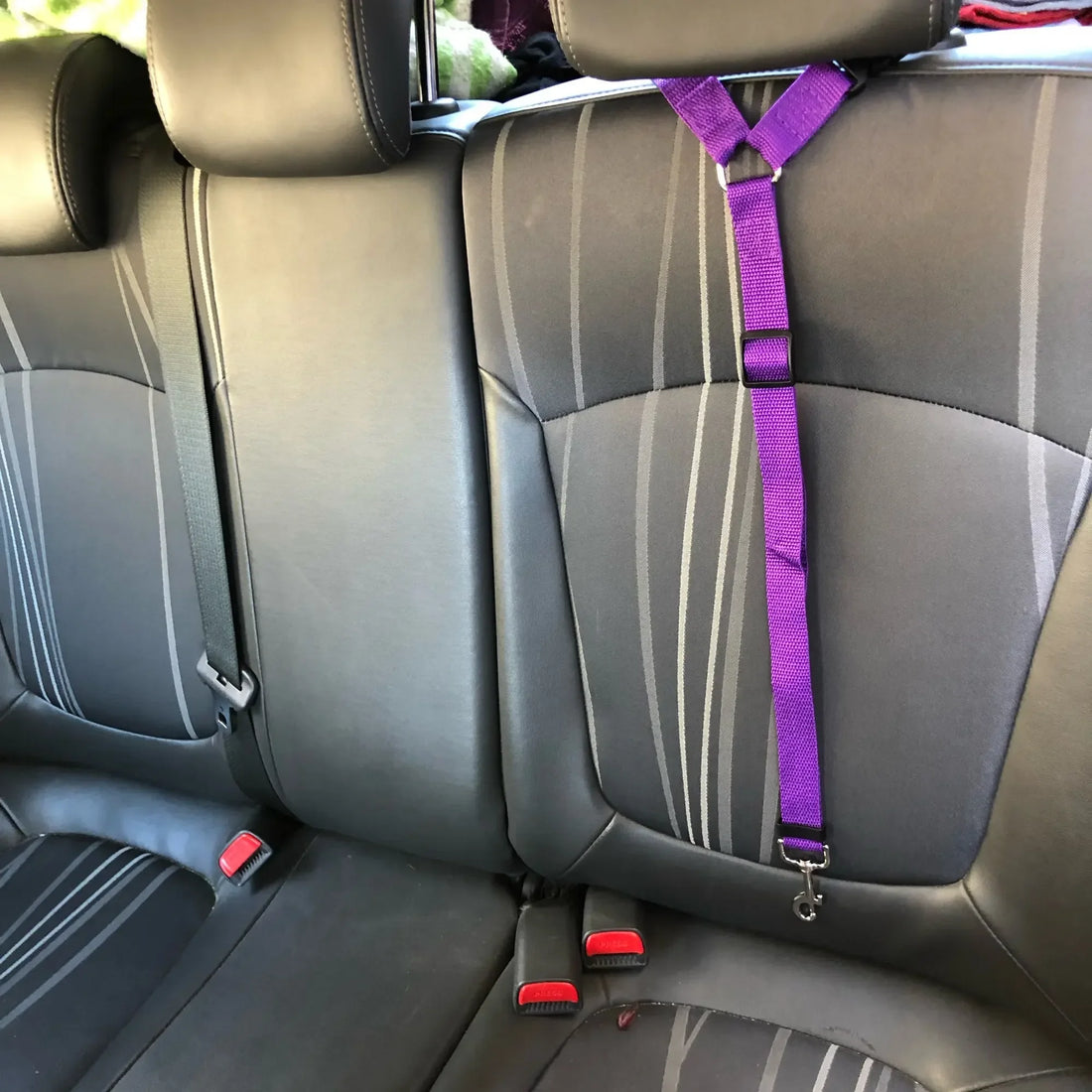 Pet Solid Two-in-one Car Seat Belt