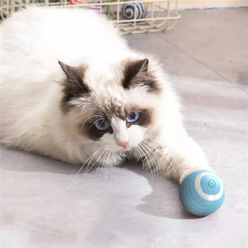 Cat Self-moving Kitten Electric Ball Toy