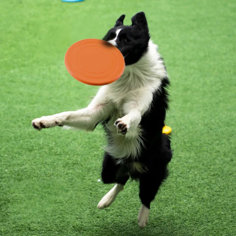 Dog Silicone Flying Saucer Funny Toy