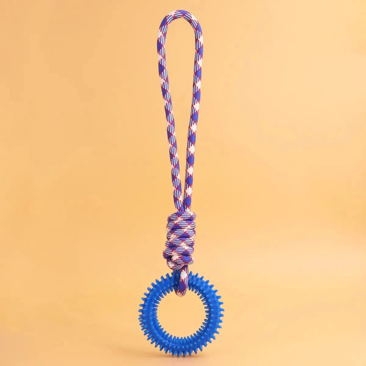 Pet Ring Spiked Ring Training Toy