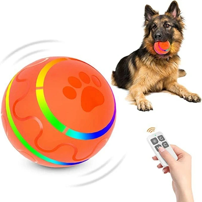 Pet Smart Remote Control Ball Toy