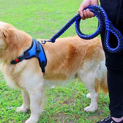 Dog Walking Safety Mountain Nylon Leash