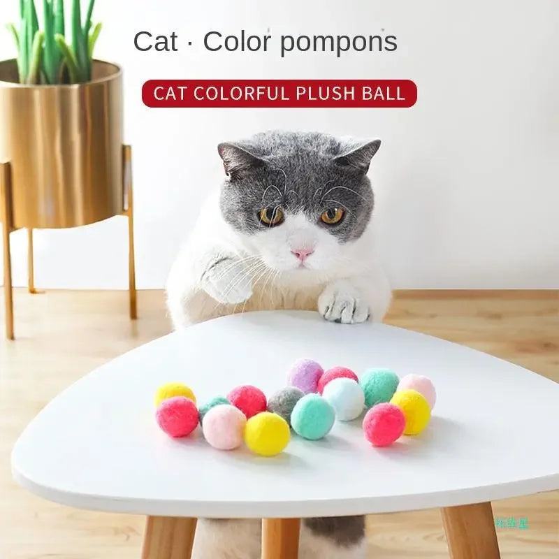 Cat Interactive Launch Training Toy