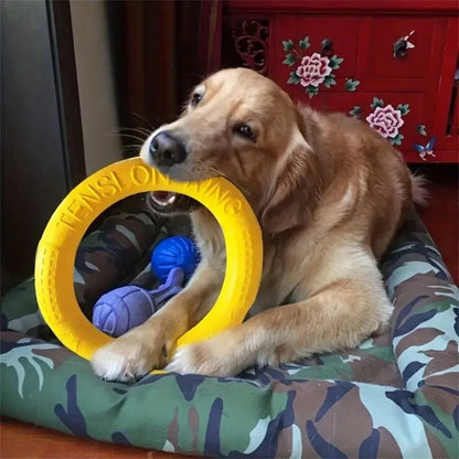 Dog  Flying Disk Training Ring Toy