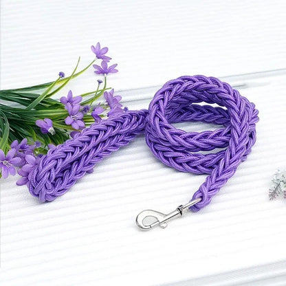 Dog Walking Safety Mountain Nylon Leash