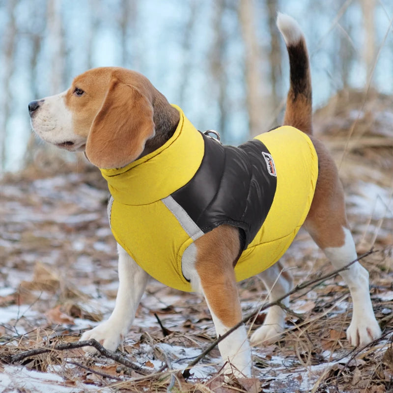 Dog Padded Winter Warm Zipper Jacket