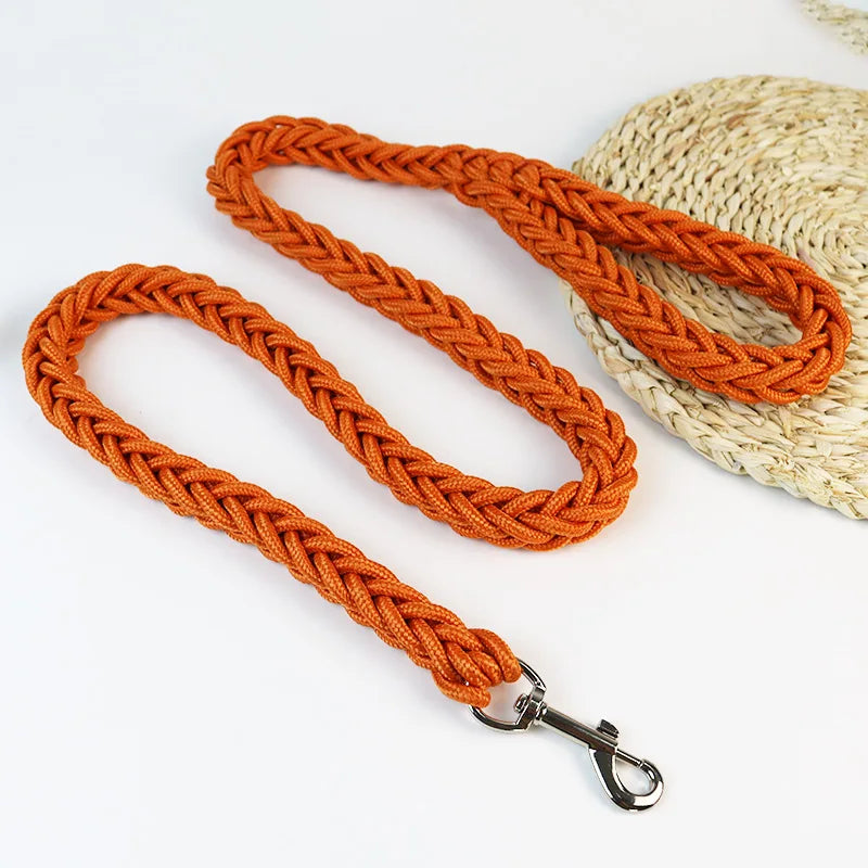 Dog Walking Safety Mountain Nylon Leash