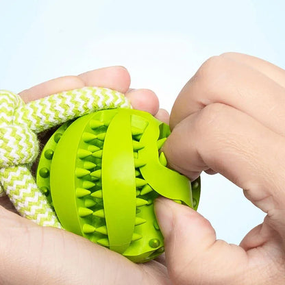 Pet Treat Rope Rubber Leaking Ball Toy