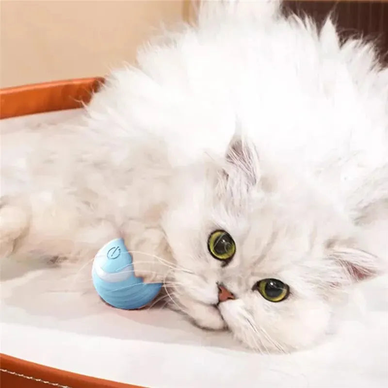 Cat Self-moving Kitten Electric Ball Toy