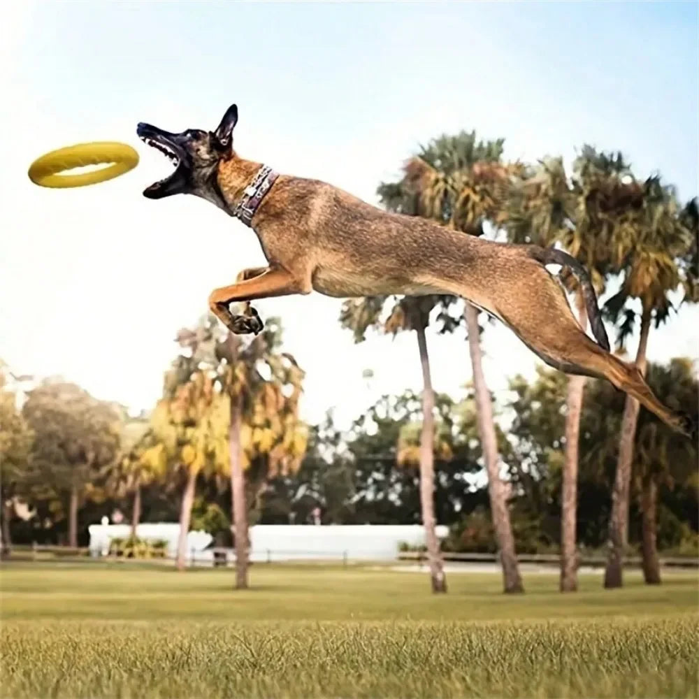 Dog  Flying Disk Training Ring Toy