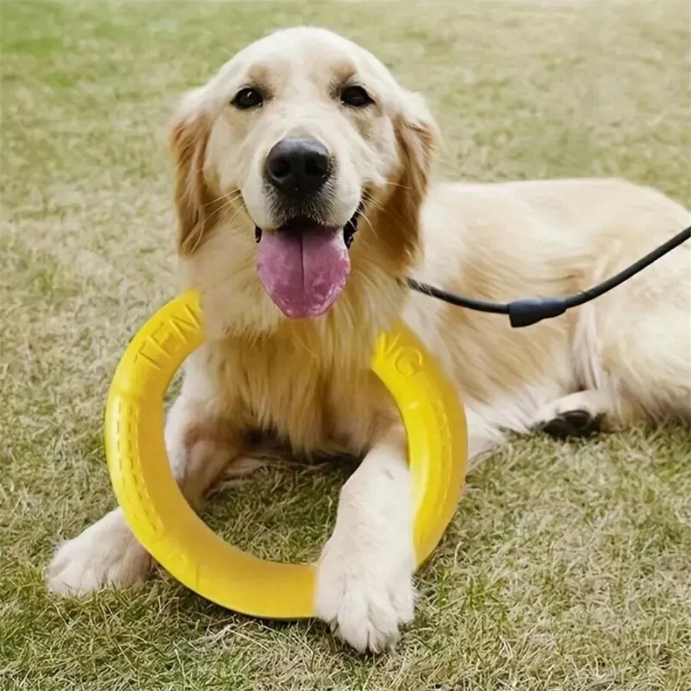 Dog  Flying Disk Training Ring Toy