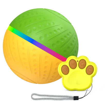 Pet Smart Remote Control Ball Toy