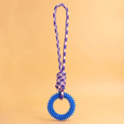 Pet Ring Spiked Ring Training Toy