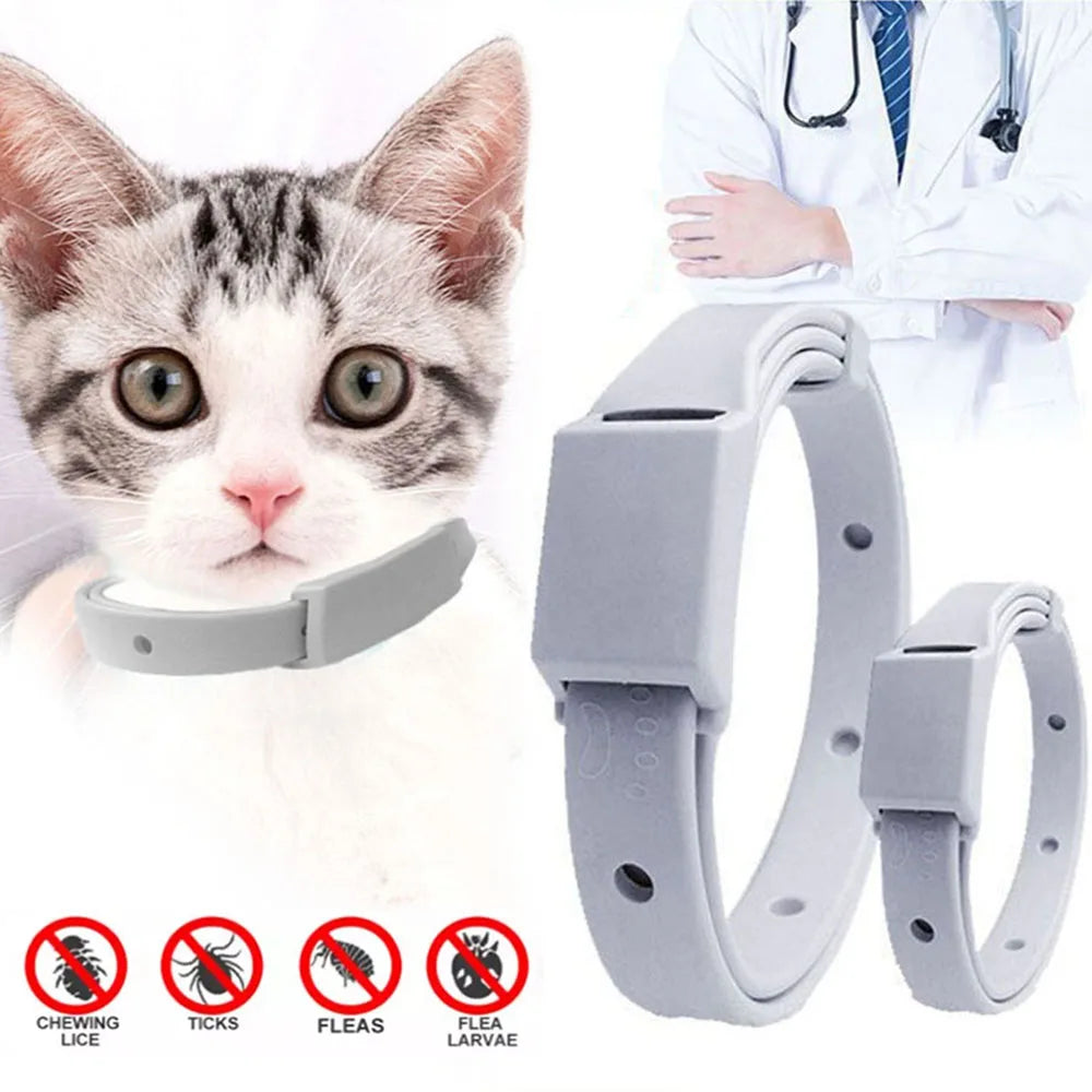 Cat Adjustable Anti Flea Tick Collar