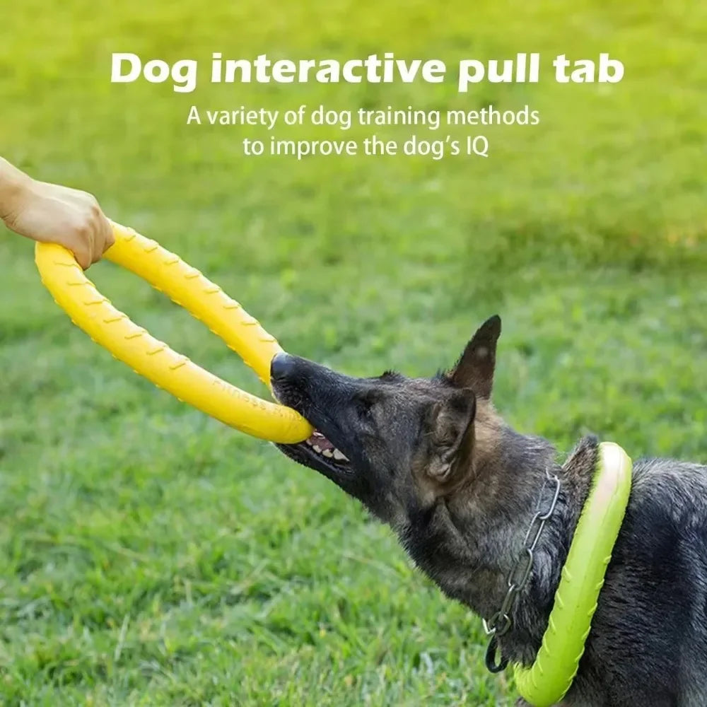 Dog  Flying Disk Training Ring Toy