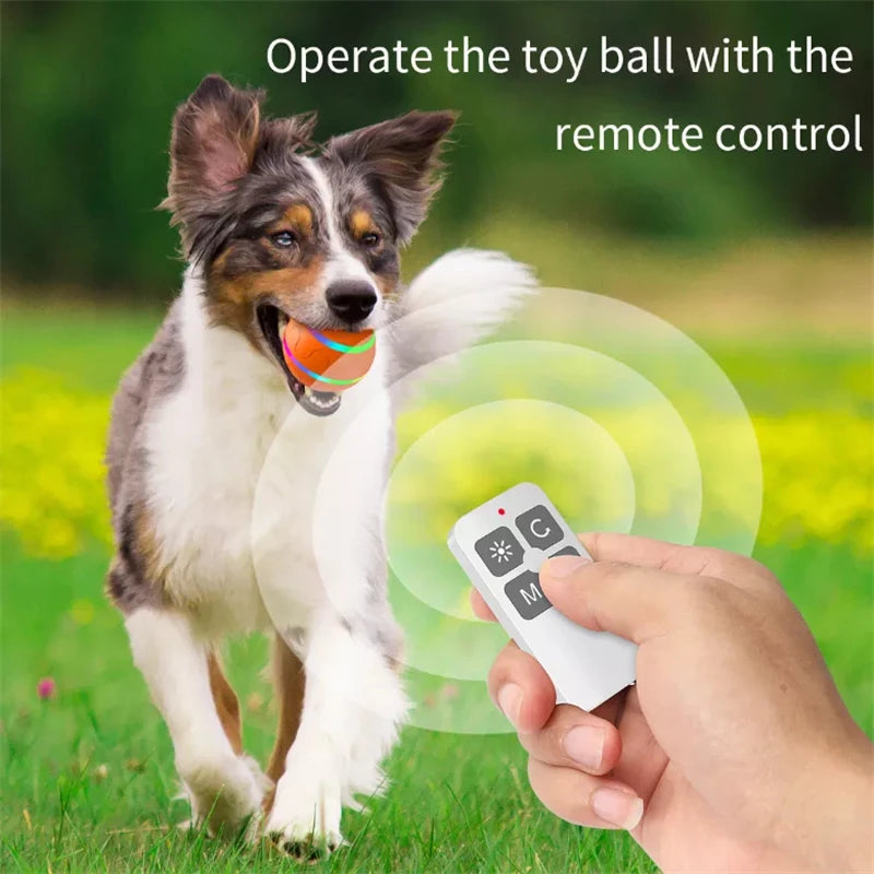 Pet Smart Remote Control Ball Toy