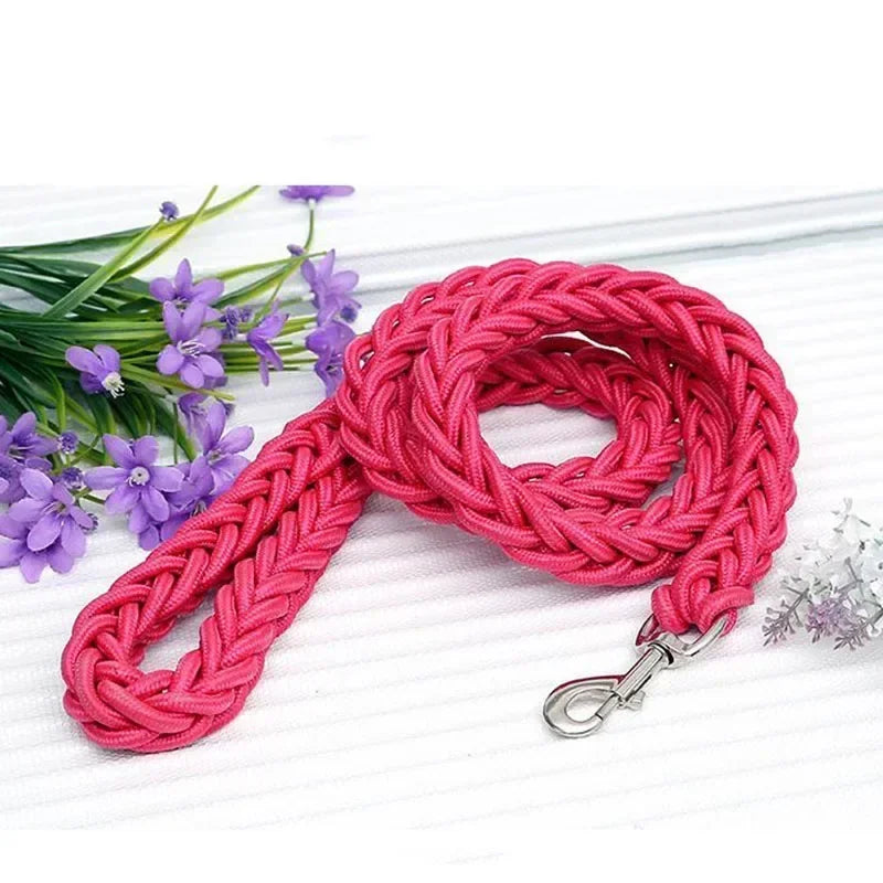 Dog Walking Safety Mountain Nylon Leash