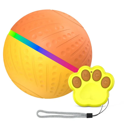 Pet Smart Remote Control Ball Toy